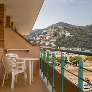 Suite Familiar con Cama King